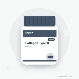 Calvia Collagen Type II